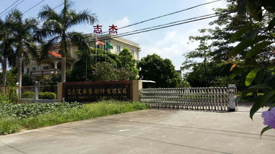 China Kaiping Zhijie Auto Parts Co., Ltd.